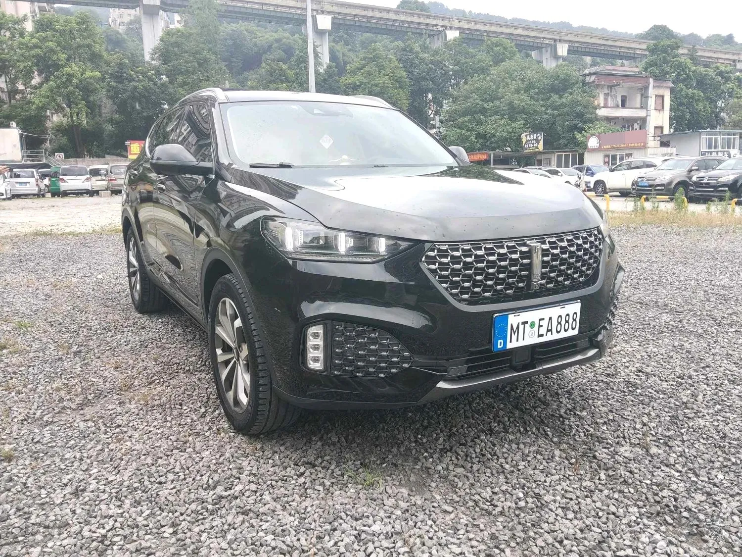 WEY VV6