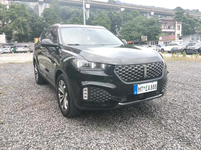WEY VV6 WEY VV6 2020 2.0T Automatic