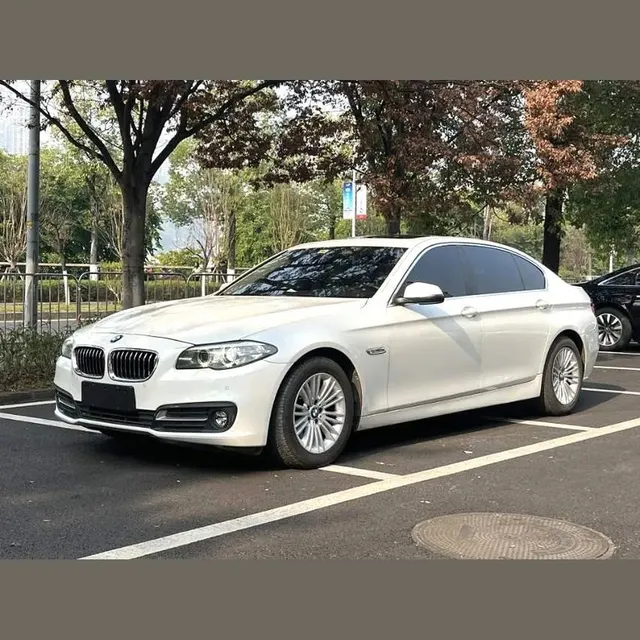 BMW 5 Series 2017 525Li 2.0T Leading Package Automatic