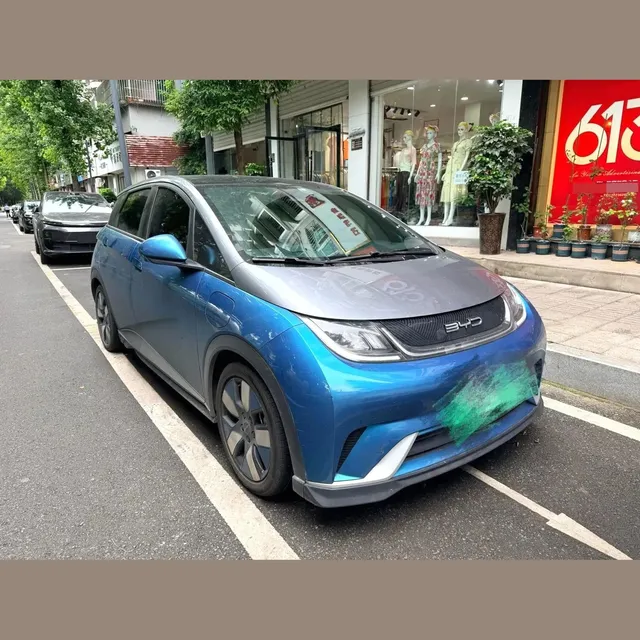 BYD Dolphin 2021
