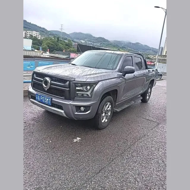 Great Wall King Kong Poer 2024
