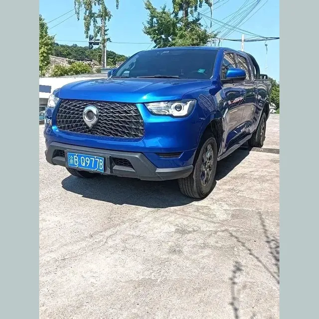 Great Wall Poer 2021