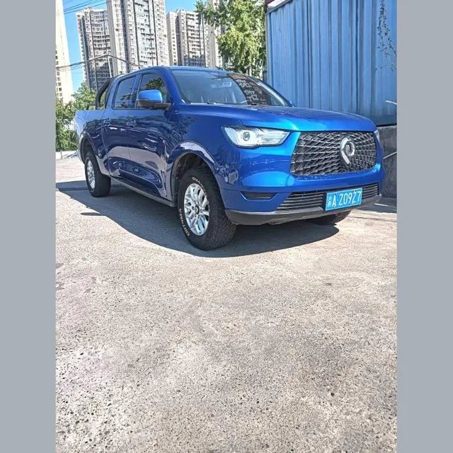 Great Wall Poer 2020